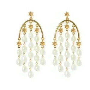 Vince Camuto New Waterfall Drop Earrings